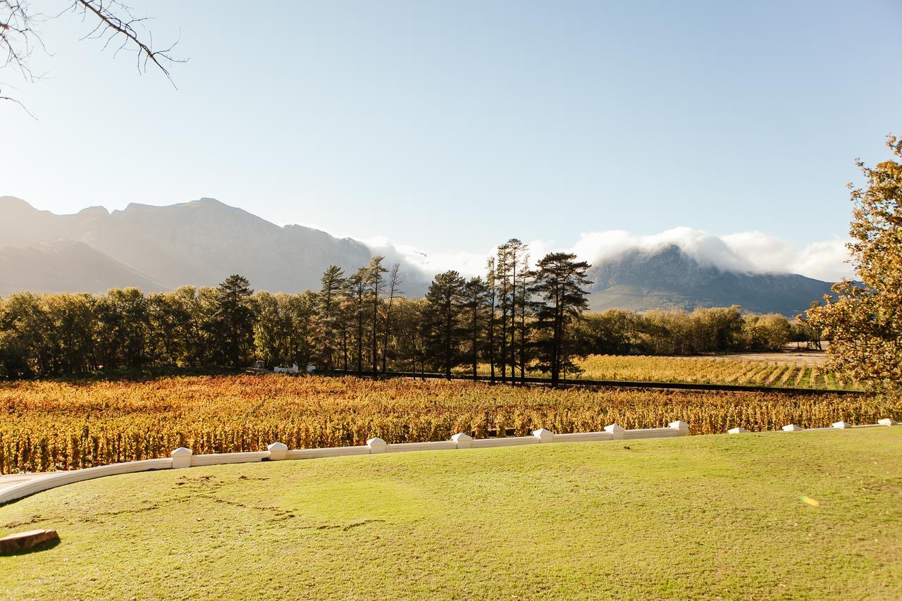Rickety Bridge Manor House Casa de hóspedes Franschhoek Exterior foto